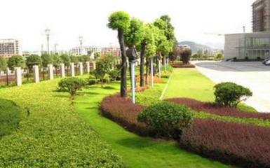 論綠化工程領(lǐng)域施工現(xiàn)狀與改進措施