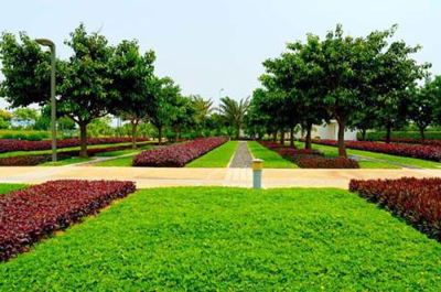 綠滿邕城 南寧園林綠化、庭院美化與專業工程服務的全方位解析